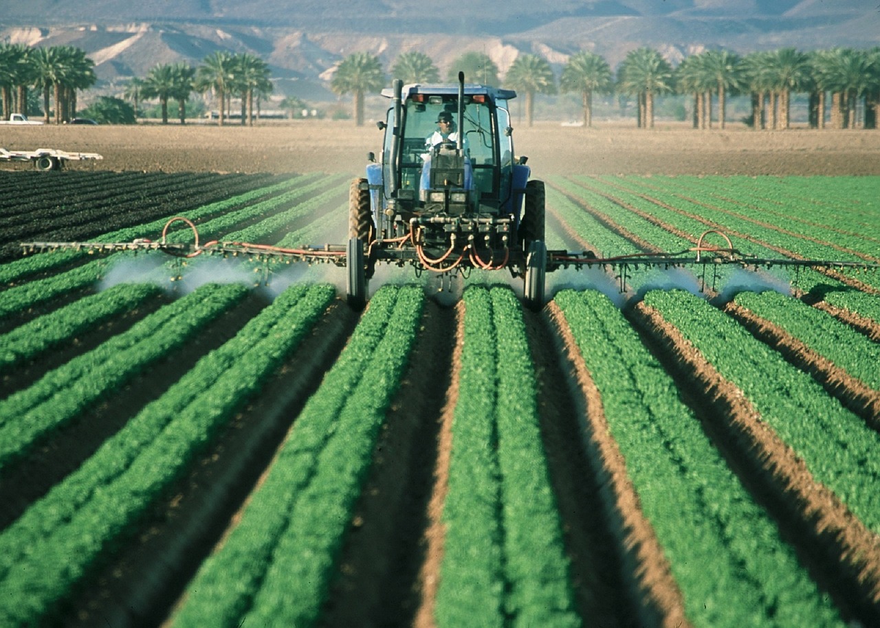 Real Estate Farming